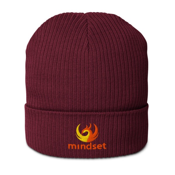 Mindset PT Organic Ribbed Beanie